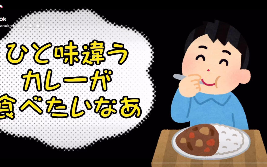 【lunch】