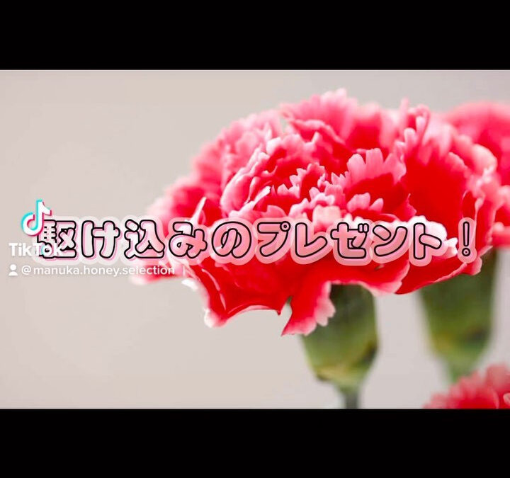 【Mother’s Day】