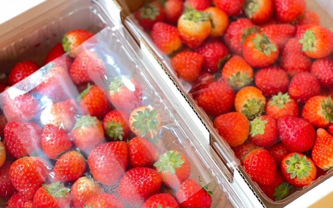 【strawberry❤】