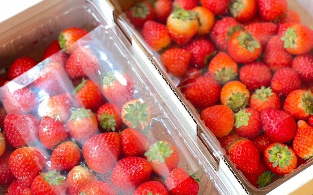 【strawberry】