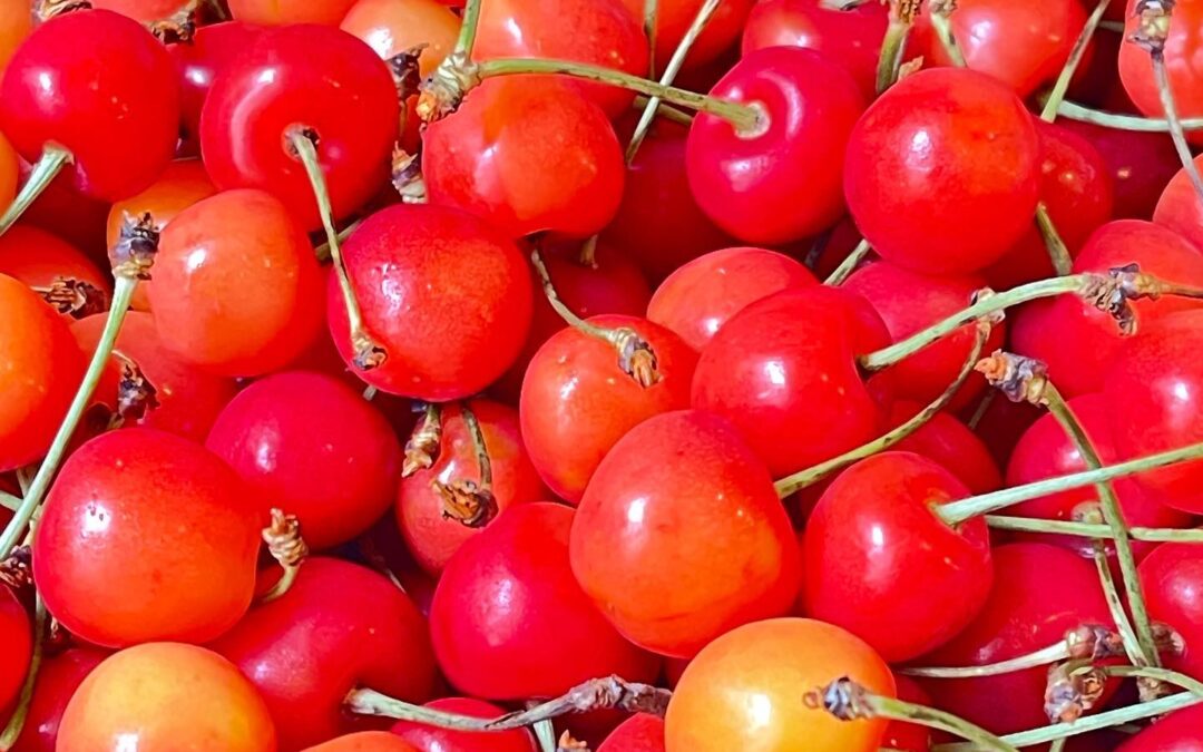 【Cherry fair´-】