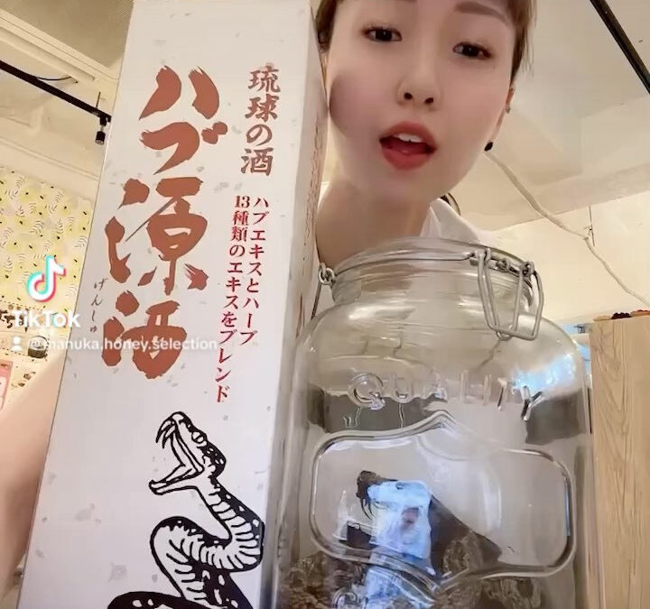 当店ハブ酒はこんな風にできてたのか！！